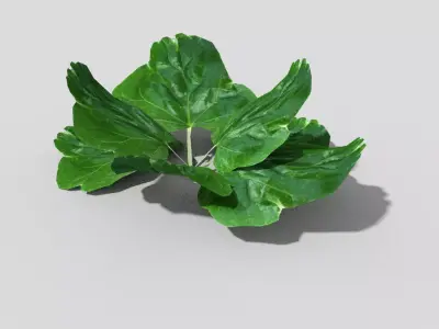 Low poly Plant leaf Low-poly 3D model
