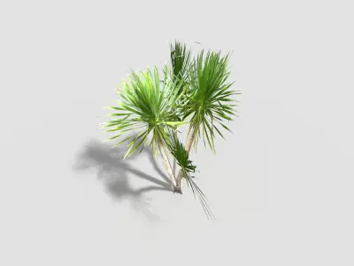 low poly tropical tree Low-poly 3D model