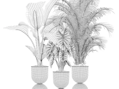 Plants collection 115 3D model