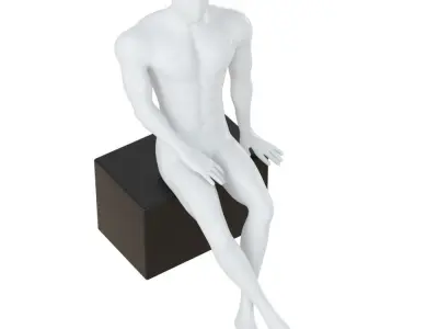 Mannequin sits on box 138 3D model