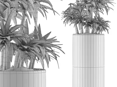 Plants Collection 115 3D model