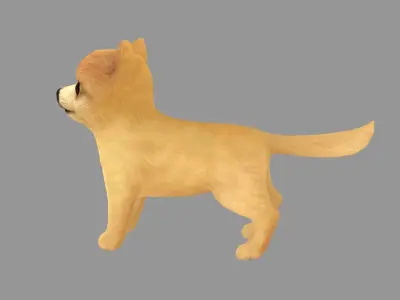 Cartoon pet puppy - Pomeranian - baby dog Low-poly 3D model