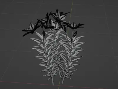 Lilium Lily Plant Low-poly 3D model