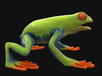 Frog Green Low-poly 3D model