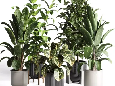 Collection indoor plant 276 pot concrete dirt vase 3D model