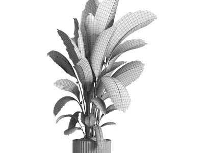 indoor plant 035 3D model