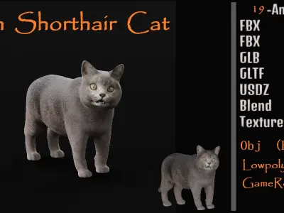 British Shorthair Domestic Cat Low-poly 3D model