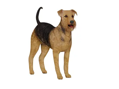 Airedale Terrier Dog Low-poly 3D model