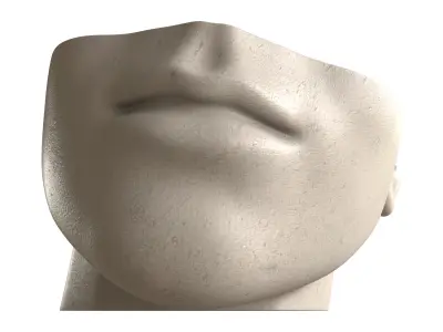 Face Fountain 3D model