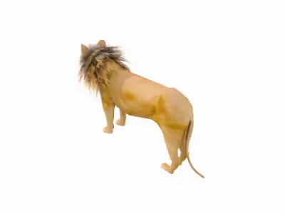 Lion low poly 3D model