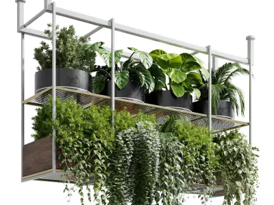 Hanging plants indoor plant 327 Low-poly 3D model