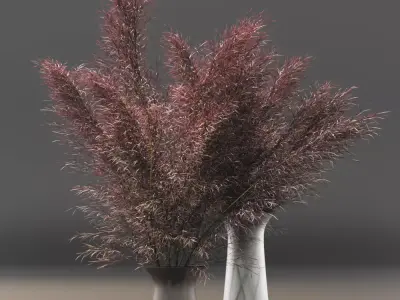 Miscanthus flower 3D model purchase