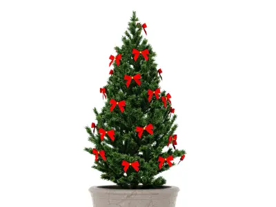 Christmas Tree in a pot 1 3D model