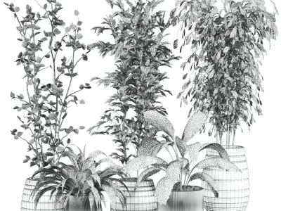 Plants Set 3D model get