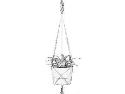 Plant in White Hanging Pot 3D Model 3D model