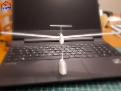 Decorative Glider Model  3D print model