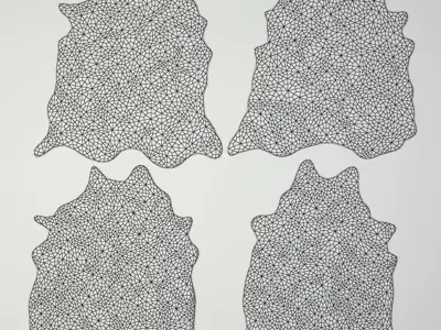 Rugs 7 cowhide rug 3D model