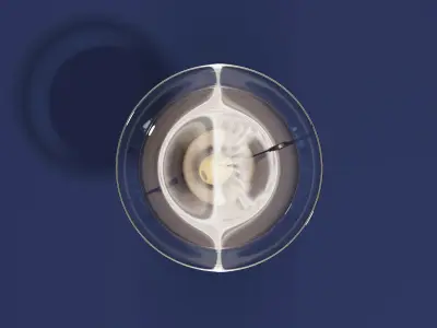 Drink Glass - Dry Martini 3D model