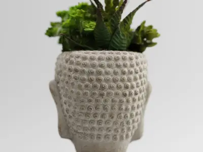 Buddah Head Plant Pot 3D model