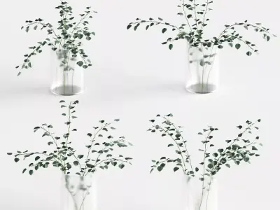 Eucalyptus in a vase - 4 models 3D model