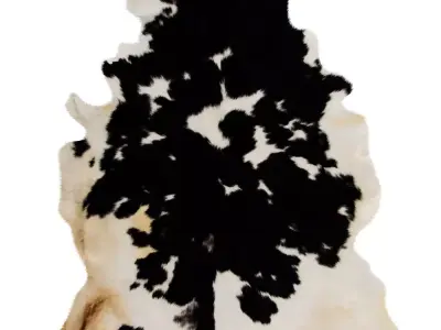 Black And White Skin Cow Rug 3D model