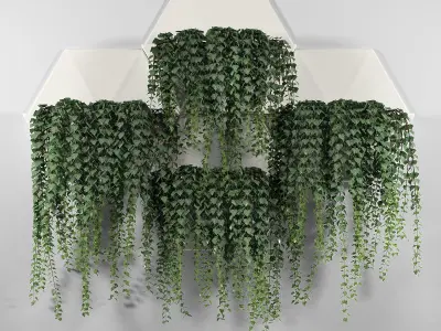 Hexagonal Honeycomb Succulent Wall Planter 3D model