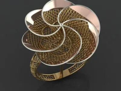 Latest Turkish Rings  3D print model