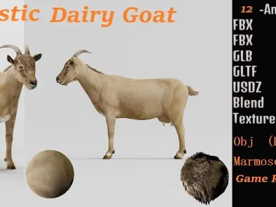 Domestic Goat Low-poly 3D model