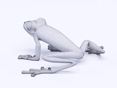 Green Frog 3D model
