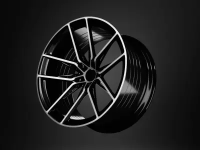 Car Rim Disk from the wheels 3D model