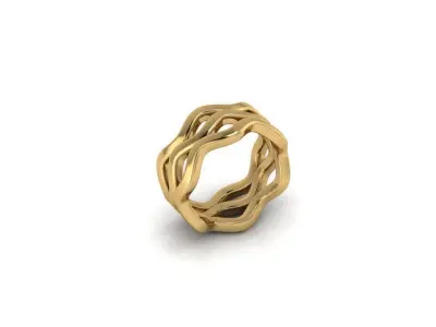 3Ring in 1 3D print model