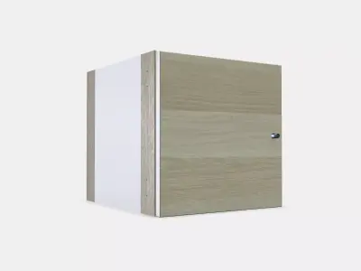 KALLAX Insert with door 4 Low-poly 3D model