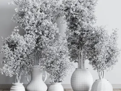 Olive tree in an old earthenware vase indoor collection 319 Low-poly 3D model