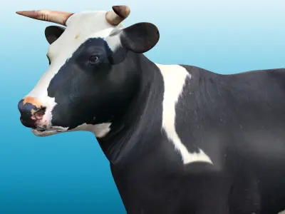 Cow Rig Low-poly 3D model