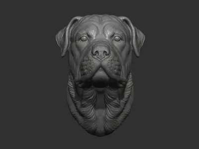 Rottweiler head dog 3D print model