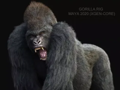 Gorilla RIG XGEN CORE 3D model