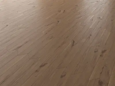 Parquet Oak Vergne Wild Wood set 6 3D model