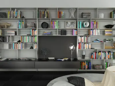 Novel collection books 3D model