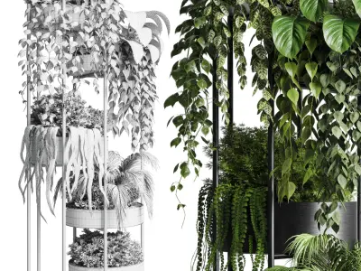 circle stand plant collection Indoor plant metal vase 3D model