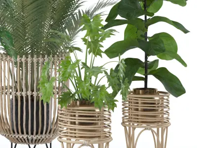 Plants collection 136 3D model