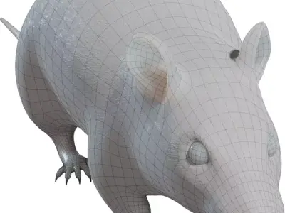 Realistic Rat Character  Low-poly 3D model