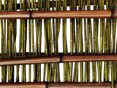 Branch bamboo long low n3 3D model