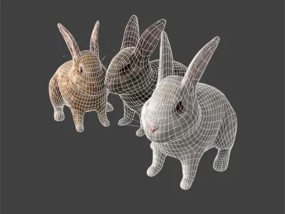 Lovely rabbit three only need friends away with binding 3D model