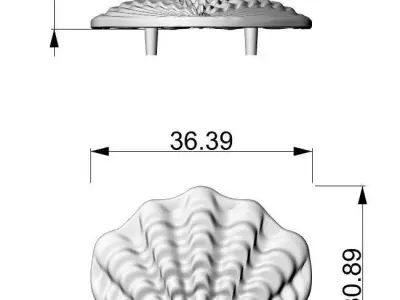 Shell-Shaped Shoe Ornament 3D print model