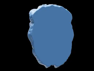 3D printable Lion Head abstract and detailed version 3D print model