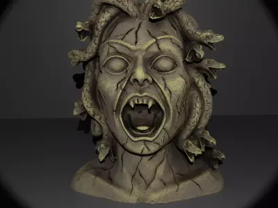 Medusa Planter 3D print model