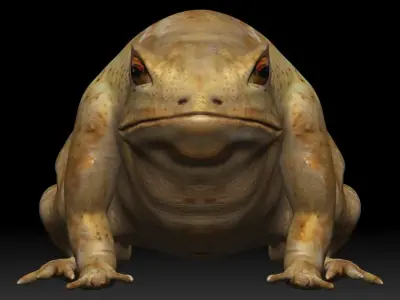 Cane Toad bullfrog Low-poly 3D model