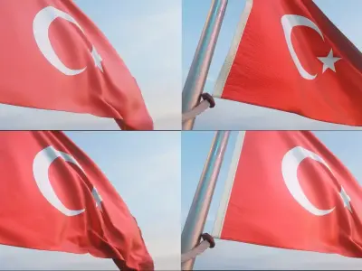 Animated Flag with 4 fabric types Low-poly 3D model