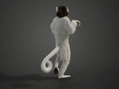 White Sifaka Animation - VFX Grace 3D model