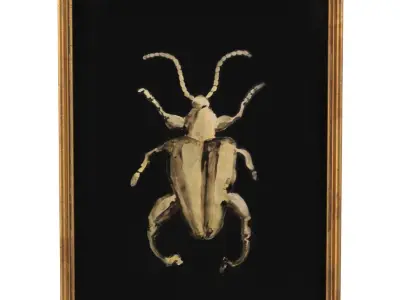 Scarabeo Watercolor Painting Wall Art PBR 3D model